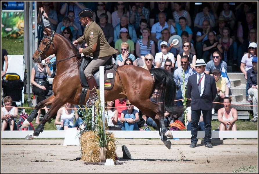Pferd International 148